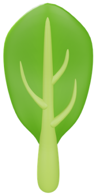 spinach leaf newsletter image