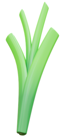 footer image onion